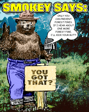 Smokey Says: Only you can prevent forest fires.